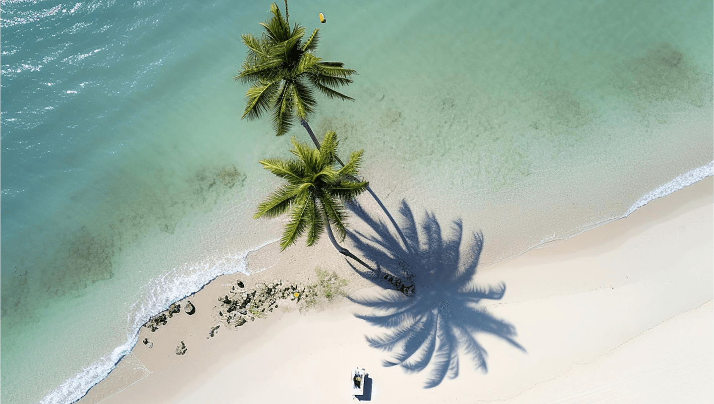 Aerial view of tropical beach